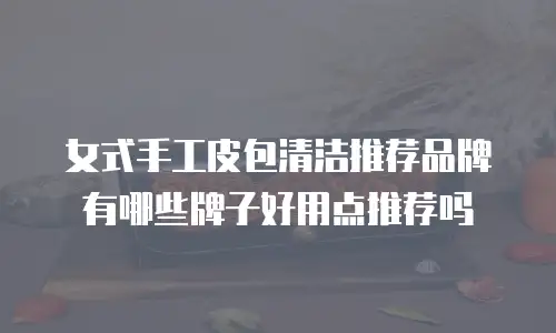 女式手工皮包清洁推荐品牌有哪些牌子好用点推荐吗