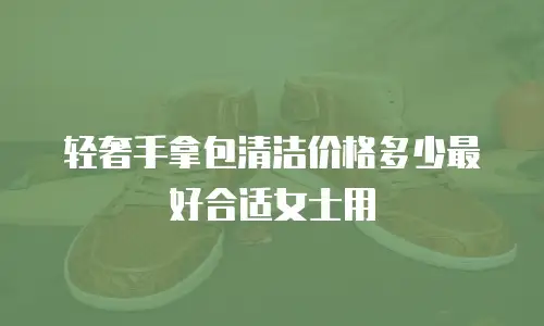 轻奢手拿包清洁价格多少最好合适女士用