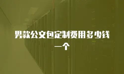 男款公文包定制费用多少钱一个