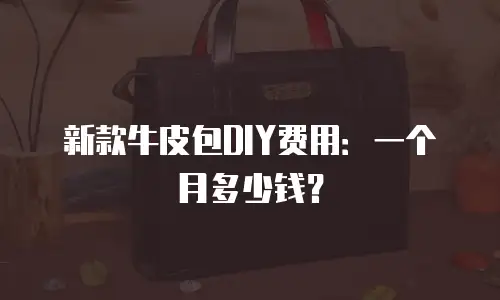 新款牛皮包DIY费用：一个月多少钱？