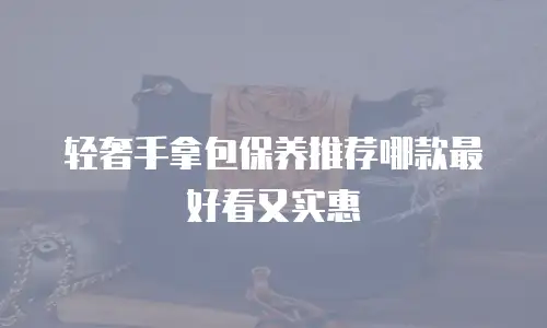 轻奢手拿包保养推荐哪款最好看又实惠
