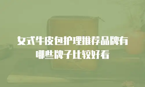 女式牛皮包护理推荐品牌有哪些牌子比较好看