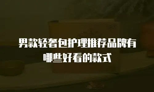 男款轻奢包护理推荐品牌有哪些好看的款式