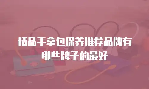 精品手拿包保养推荐品牌有哪些牌子的最好