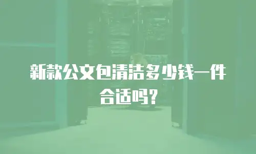新款公文包清洁多少钱一件合适吗？