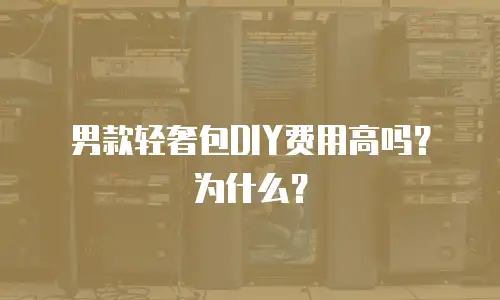男款轻奢包DIY费用高吗？为什么？