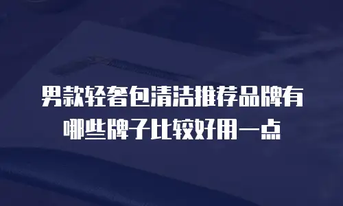 男款轻奢包清洁推荐品牌有哪些牌子比较好用一点