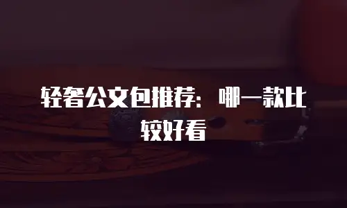 轻奢公文包推荐：哪一款比较好看