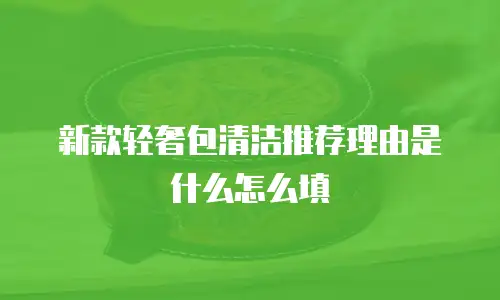 新款轻奢包清洁推荐理由是什么怎么填