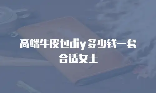 高端牛皮包diy多少钱一套合适女士