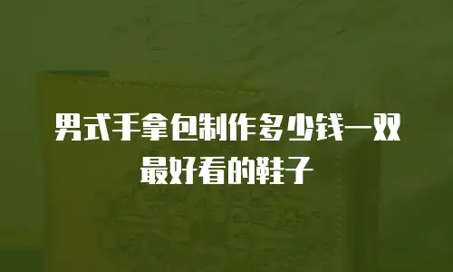 男式手拿包制作多少钱一双最好看的鞋子