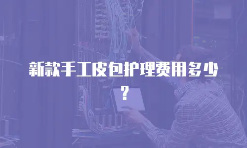 新款手工皮包护理费用多少？
