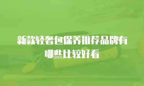 新款轻奢包保养推荐品牌有哪些比较好看