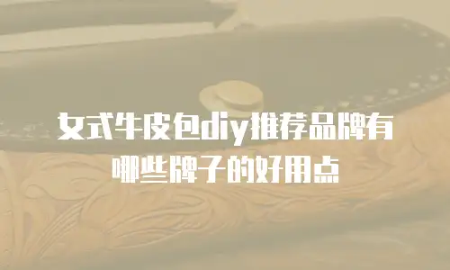 女式牛皮包diy推荐品牌有哪些牌子的好用点
