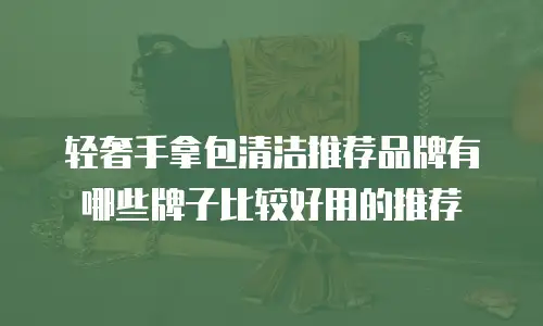 轻奢手拿包清洁推荐品牌有哪些牌子比较好用的推荐