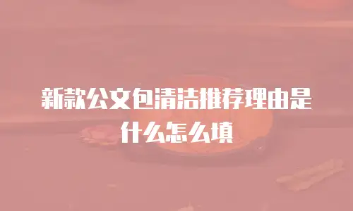 新款公文包清洁推荐理由是什么怎么填