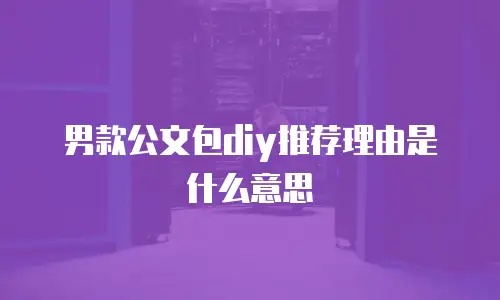 男款公文包diy推荐理由是什么意思