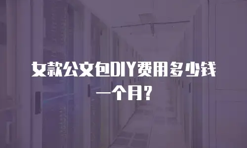 女款公文包DIY费用多少钱一个月？