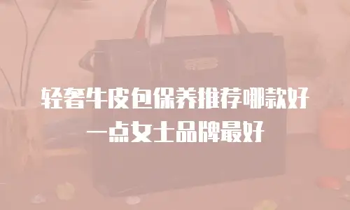 轻奢牛皮包保养推荐哪款好一点女士品牌最好
