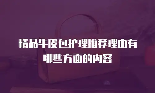 精品牛皮包护理推荐理由有哪些方面的内容