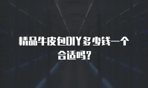 精品牛皮包DIY多少钱一个合适吗？