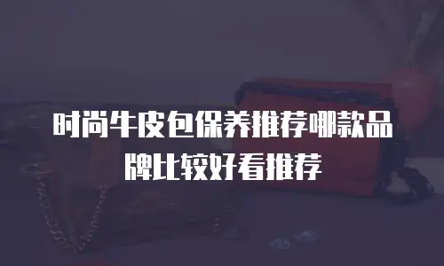 时尚牛皮包保养推荐哪款品牌比较好看推荐
