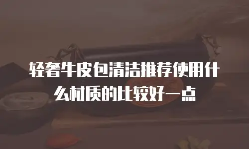 轻奢牛皮包清洁推荐使用什么材质的比较好一点