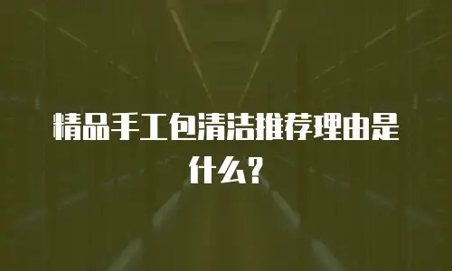 精品手工包清洁推荐理由是什么？