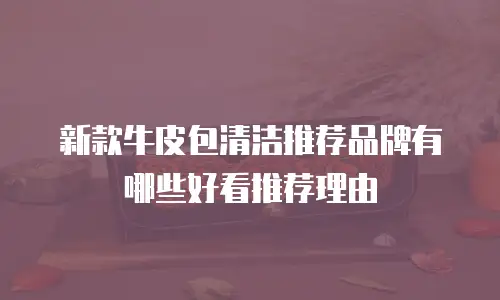 新款牛皮包清洁推荐品牌有哪些好看推荐理由