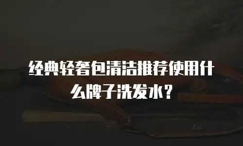 经典轻奢包清洁推荐使用什么牌子洗发水？