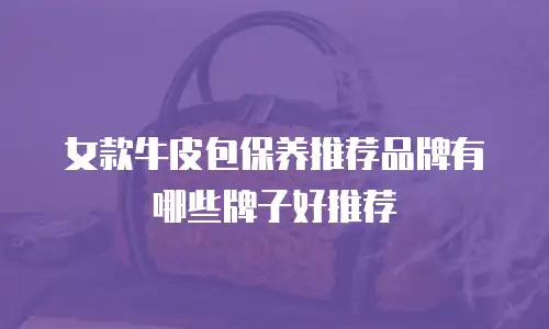 女款牛皮包保养推荐品牌有哪些牌子好推荐