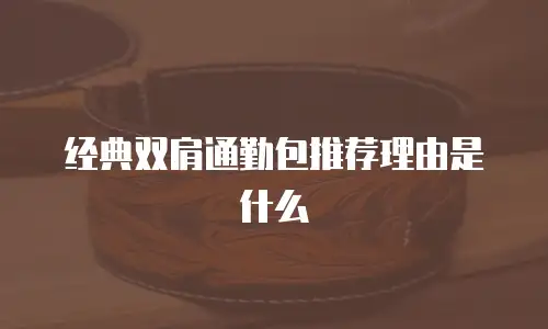 经典双肩通勤包推荐理由是什么