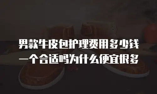 男款牛皮包护理费用多少钱一个合适吗为什么便宜很多