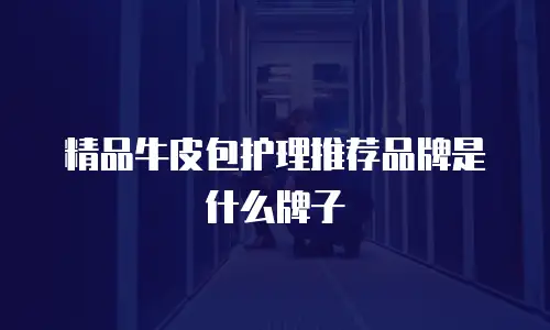 精品牛皮包护理推荐品牌是什么牌子