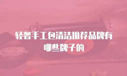 轻奢手工包清洁推荐品牌有哪些牌子的
