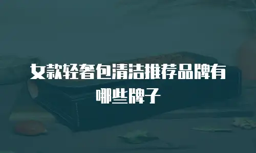 女款轻奢包清洁推荐品牌有哪些牌子