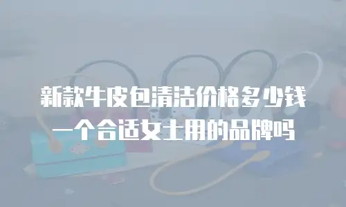 新款牛皮包清洁价格多少钱一个合适女士用的品牌吗