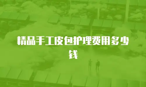 精品手工皮包护理费用多少钱