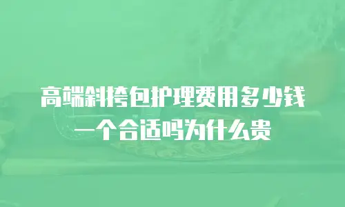 高端斜挎包护理费用多少钱一个合适吗为什么贵