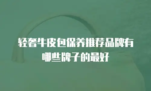 轻奢牛皮包保养推荐品牌有哪些牌子的最好