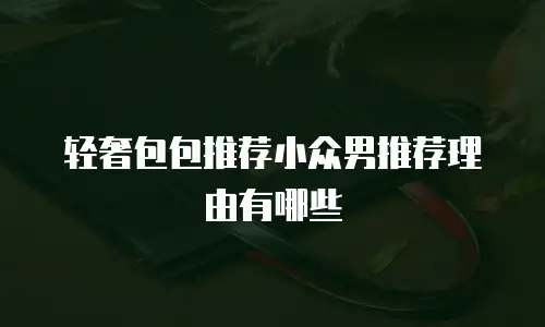 轻奢包包推荐小众男推荐理由有哪些