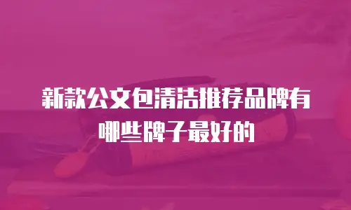新款公文包清洁推荐品牌有哪些牌子最好的