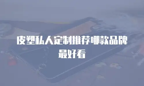 皮塑私人定制推荐哪款品牌最好看