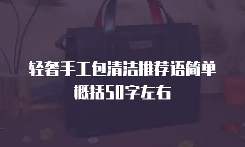轻奢手工包清洁推荐语简单概括50字左右