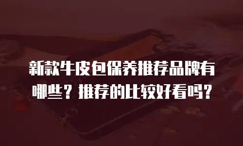 新款牛皮包保养推荐品牌有哪些？推荐的比较好看吗？