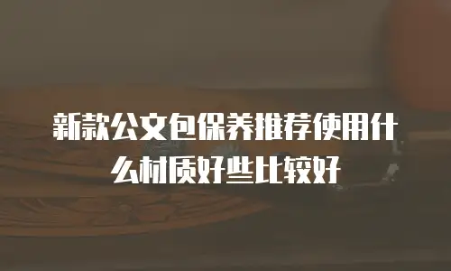新款公文包保养推荐使用什么材质好些比较好