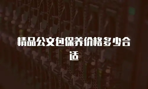 精品公文包保养价格多少合适