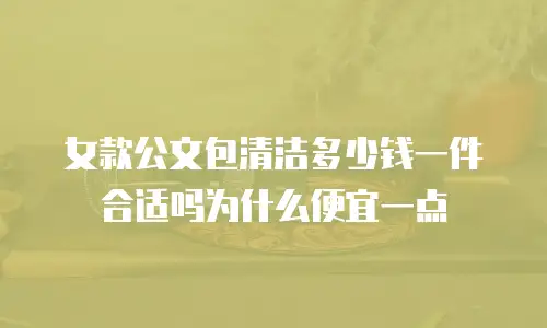 女款公文包清洁多少钱一件合适吗为什么便宜一点