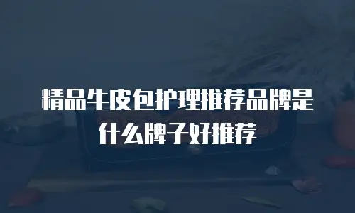 精品牛皮包护理推荐品牌是什么牌子好推荐