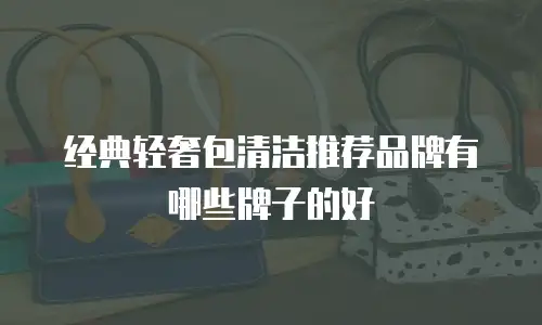 经典轻奢包清洁推荐品牌有哪些牌子的好